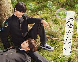 裕华区个人网站优化记录